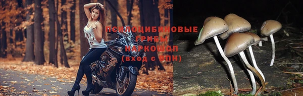 марки nbome Вязьма